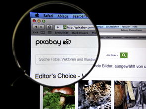 开云体育入口-体育新闻中心发布体育短视频传播效果白皮书，体育短视频成为平台和用户的新宠